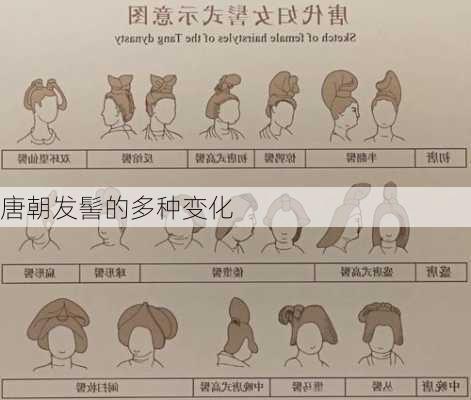 唐朝发髻的多种变化