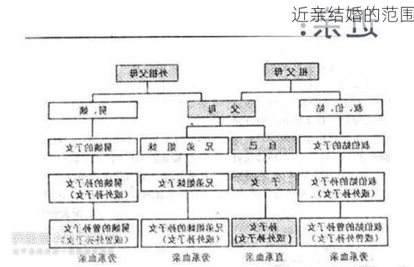 近亲结婚的范围