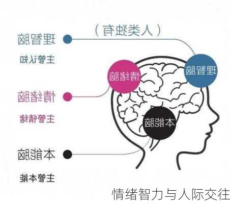 情绪智力与人际交往