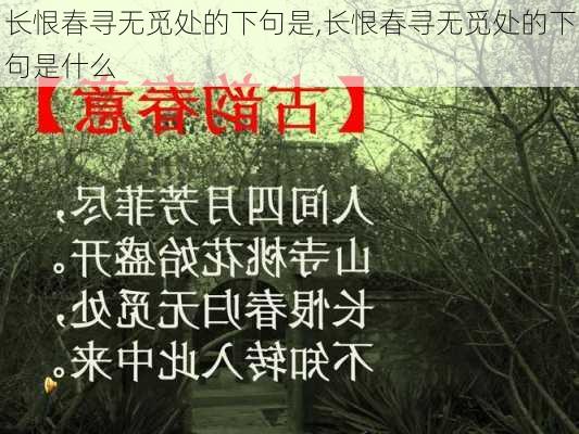 长恨春寻无觅处的下句是,长恨春寻无觅处的下句是什么