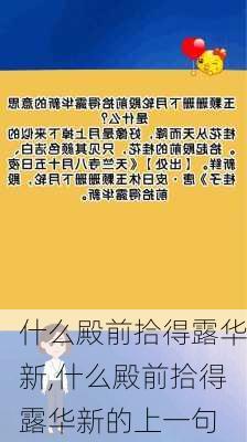 什么殿前拾得露华新,什么殿前拾得露华新的上一句