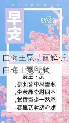 白梅王冕动画解析,白梅王冕视频