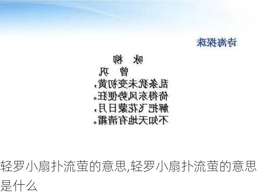 轻罗小扇扑流萤的意思,轻罗小扇扑流萤的意思是什么