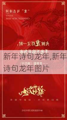 新年诗句龙年,新年诗句龙年图片