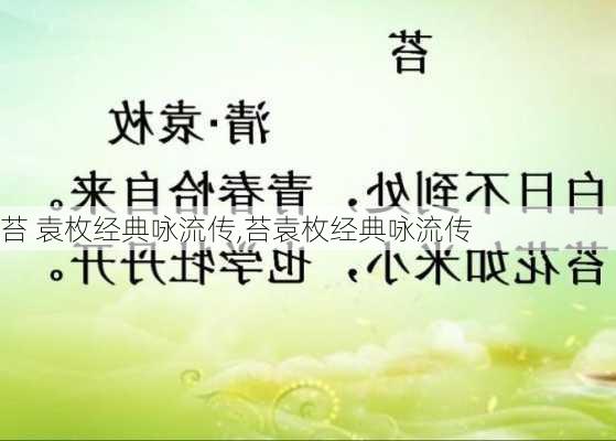 苔 袁枚经典咏流传,苔袁枚经典咏流传