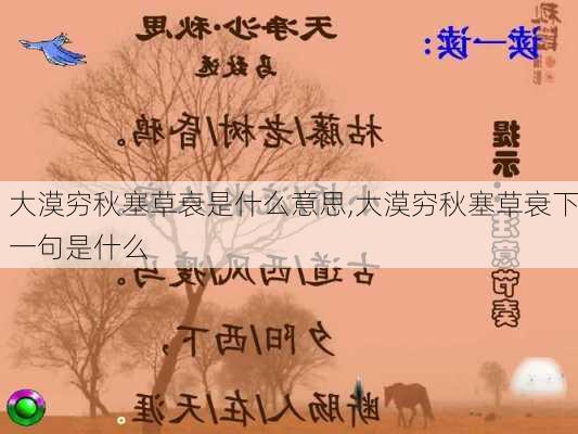 大漠穷秋塞草衰是什么意思,大漠穷秋塞草衰下一句是什么