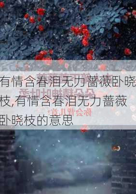 有情含春泪无力蔷薇卧晓枝,有情含春泪无力蔷薇卧晓枝的意思