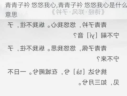 青青子衿 悠悠我心,青青子衿 悠悠我心是什么意思