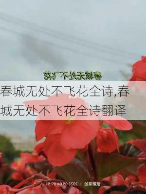 春城无处不飞花全诗,春城无处不飞花全诗翻译