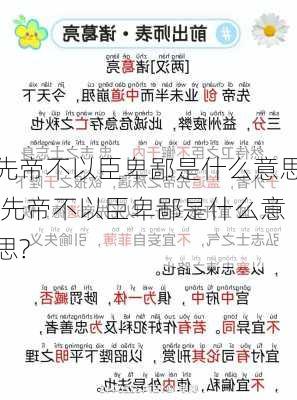 先帝不以臣卑鄙是什么意思,先帝不以臣卑鄙是什么意思?