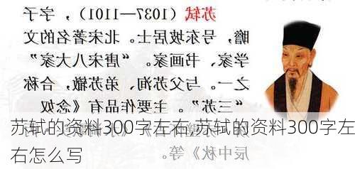 苏轼的资料300字左右,苏轼的资料300字左右怎么写