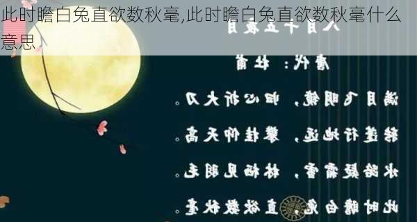 此时瞻白兔直欲数秋毫,此时瞻白兔直欲数秋毫什么意思