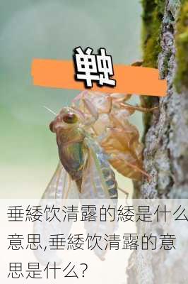 垂緌饮清露的緌是什么意思,垂緌饮清露的意思是什么?