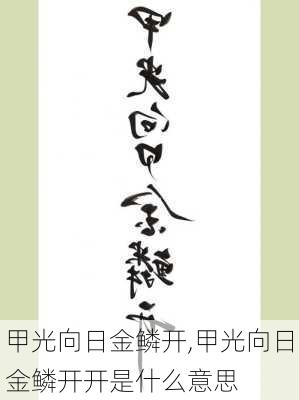 甲光向日金鳞开,甲光向日金鳞开开是什么意思