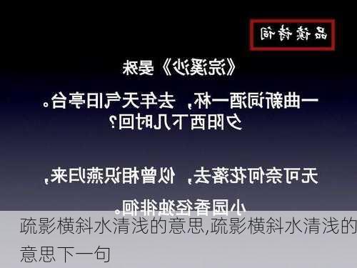 疏影横斜水清浅的意思,疏影横斜水清浅的意思下一句