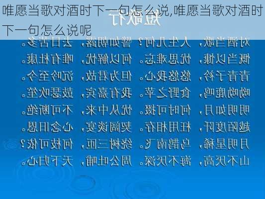 唯愿当歌对酒时下一句怎么说,唯愿当歌对酒时下一句怎么说呢