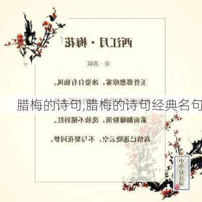 腊梅的诗句,腊梅的诗句经典名句