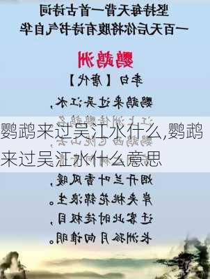 鹦鹉来过吴江水什么,鹦鹉来过吴江水什么意思