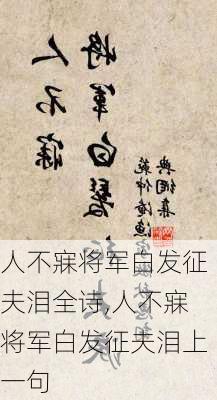 人不寐将军白发征夫泪全诗,人不寐将军白发征夫泪上一句