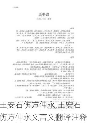 王安石伤方仲永,王安石伤方仲永文言文翻译注释