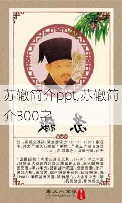 苏辙简介ppt,苏辙简介300字