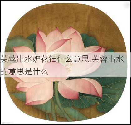 芙蓉出水妒花钿什么意思,芙蓉出水的意思是什么