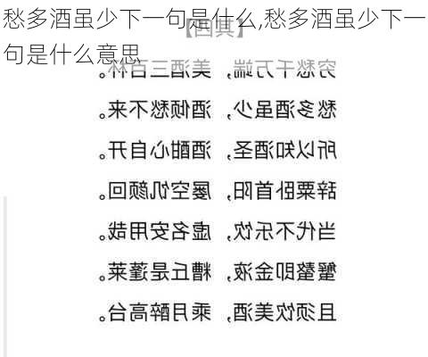 愁多酒虽少下一句是什么,愁多酒虽少下一句是什么意思