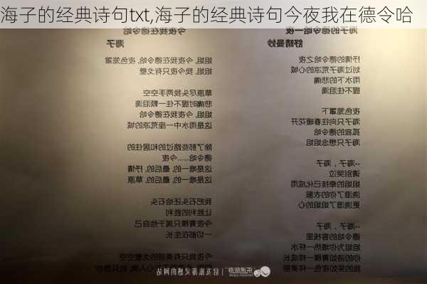 海子的经典诗句txt,海子的经典诗句今夜我在德令哈