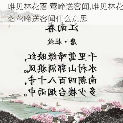 唯见林花落 莺啼送客闻,唯见林花落莺啼送客闻什么意思