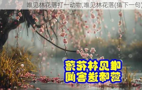 唯见林花落打一动物,唯见林花落(猜下一句)