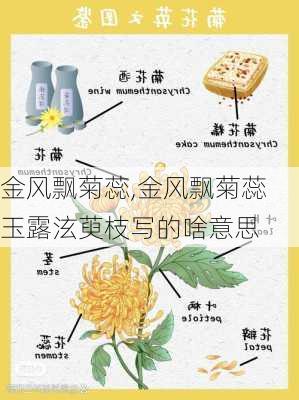 金风飘菊蕊,金风飘菊蕊玉露泫萸枝写的啥意思