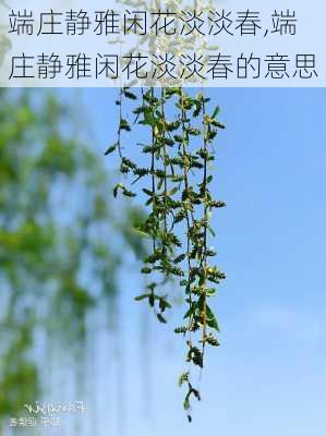 端庄静雅闲花淡淡春,端庄静雅闲花淡淡春的意思