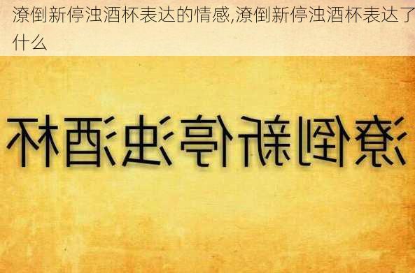 潦倒新停浊酒杯表达的情感,潦倒新停浊酒杯表达了什么