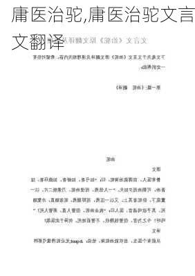 庸医治驼,庸医治驼文言文翻译