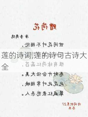 莲的诗词,莲的诗句古诗大全