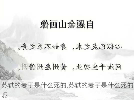 苏轼的妻子是什么死的,苏轼的妻子是什么死的呢