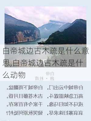 白帝城边古木疏是什么意思,白帝城边古木疏是什么动物