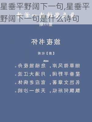 星垂平野阔下一句,星垂平野阔下一句是什么诗句