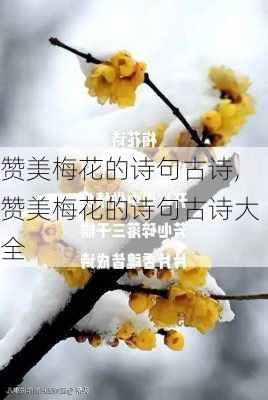 赞美梅花的诗句古诗,赞美梅花的诗句古诗大全