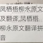 凤栖梧柳永原文及翻译,凤栖梧柳永原文翻译拼音