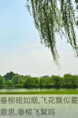 垂柳暗如烟,飞花飘似霰意思,垂柳飞絮吗