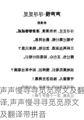 声声慢寻寻觅觅原文及翻译,声声慢寻寻觅觅原文及翻译带拼音