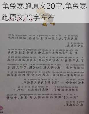 龟兔赛跑原文20字,龟兔赛跑原文20字左右