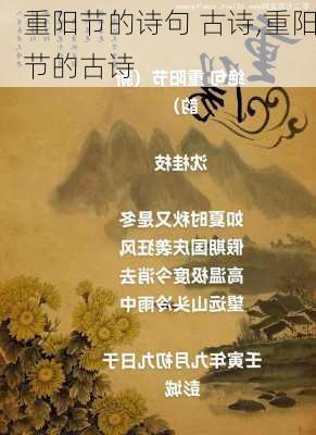 重阳节的诗句 古诗,重阳节的古诗