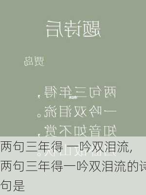 两句三年得 一吟双泪流,两句三年得一吟双泪流的诗句是