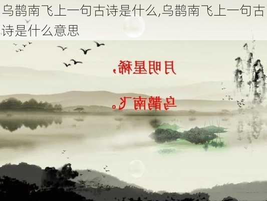 乌鹊南飞上一句古诗是什么,乌鹊南飞上一句古诗是什么意思