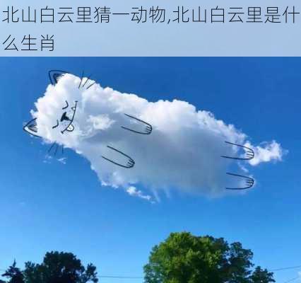 北山白云里猜一动物,北山白云里是什么生肖