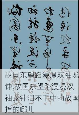 故国东望路漫漫双袖龙钟,故国东望路漫漫双袖龙钟泪不干中的故国指的哪儿