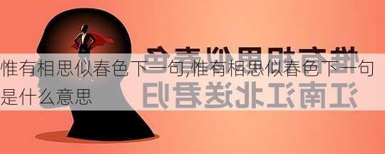 惟有相思似春色下一句,惟有相思似春色下一句是什么意思