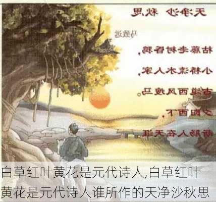 白草红叶黄花是元代诗人,白草红叶黄花是元代诗人谁所作的天净沙秋思